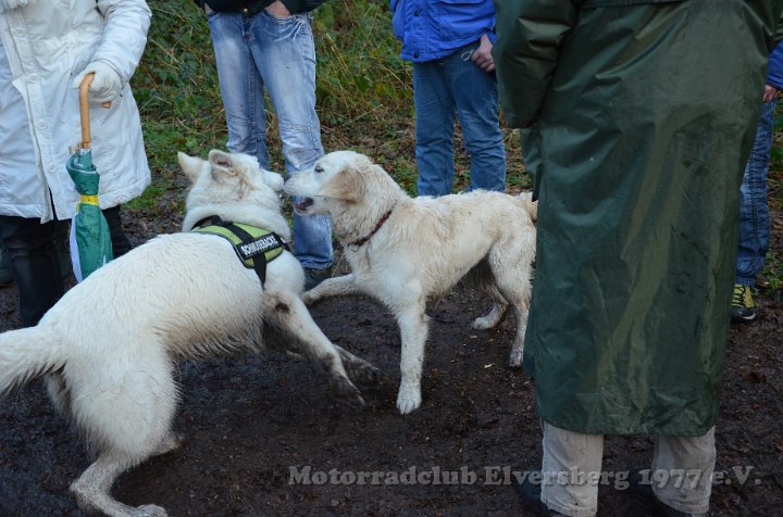 Wandertag 2012 - 102.JPG